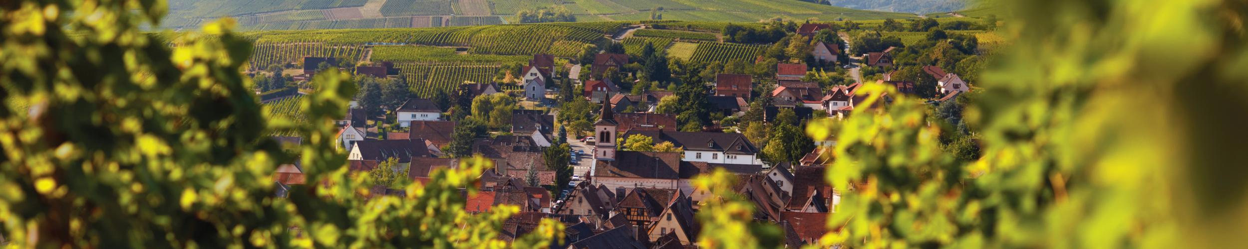 Village