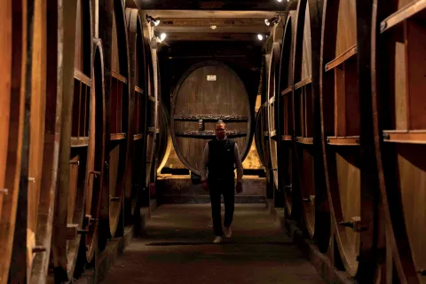 Foudres